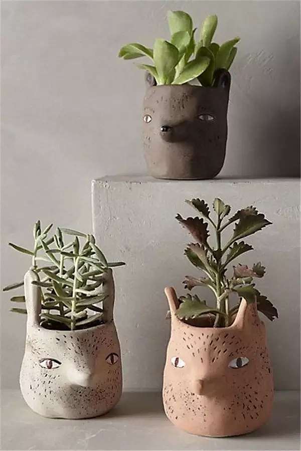 ceramics，Flowerpot，container，Home Furnishing，